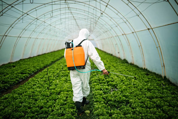 Lehigh Acres, FL Pest Control Company
