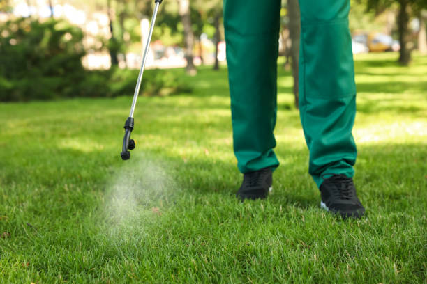 Best Local Pest Control Services  in Lehigh Acres, FL