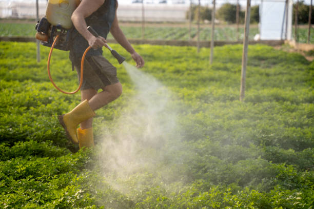 Best Emergency Pest Control  in Lehigh Acres, FL