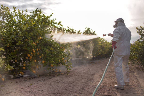 Best Bird Control  in Lehigh Acres, FL