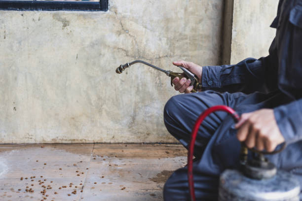 Best Wasp Removal Services  in Lehigh Acres, FL