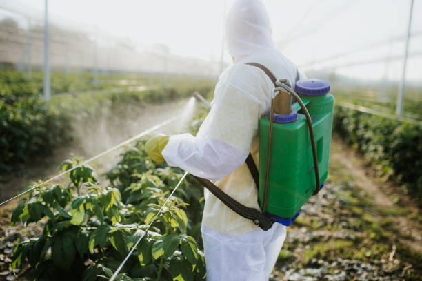 Best Flea Control Services  in Lehigh Acres, FL